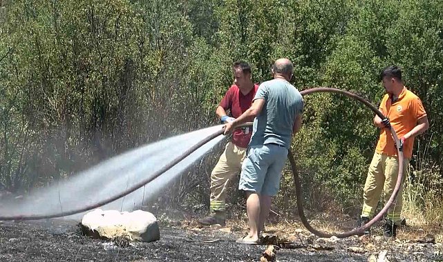 Zamanında müdahale orman yangınını önledi