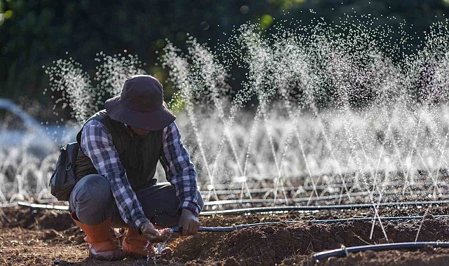 Zorlu Enerji Osmangazi Elektrik Perakende, çiftçilere yönelik hizmetlerini genişletti