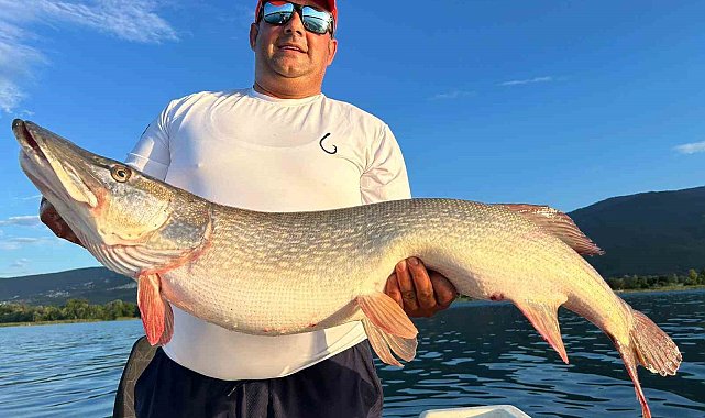 10 kiloluk turna balığını görünce tepkisi güldürdü: "Benim bahçemdeki kuzulardan büyük"