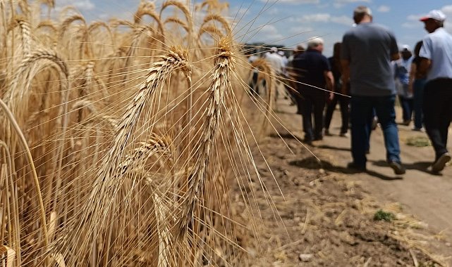 'Çeşidin doğru verimin bol olsun' projesi gerçekleşti