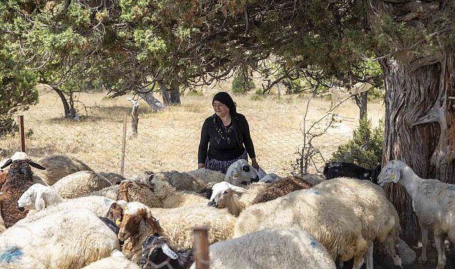 'Hadi Gel Köyümüze Destek Vereli' projesi 5. yılında