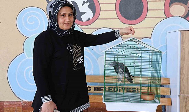 'Kübra' diye seslenen papağan, Tuba'sına kavuştu