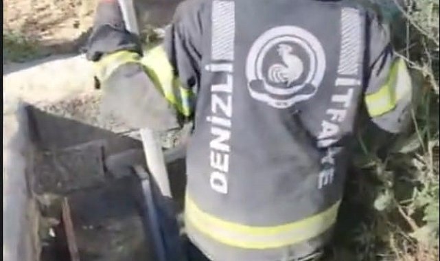 5 metrelik kuyuya düşen yavru tilki kurtarıldı