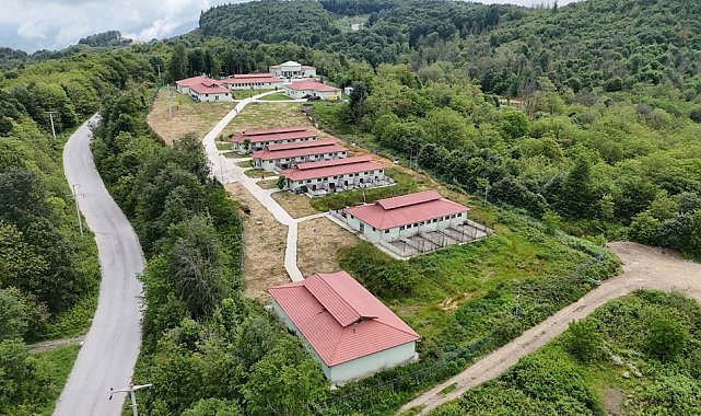 5 yılda 18 bin 438 köpek tedavi edildi