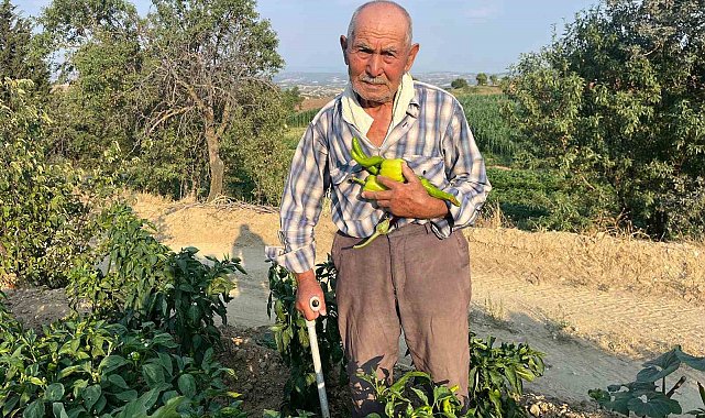 88 yaşında üretmeye devam ediyor