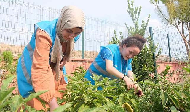 Adana Gençlik Merkezi üretiyor, çocuklar afiyetle yiyor