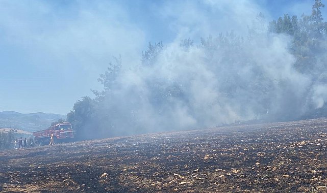 Adana'da orman yangını kontrol altına alındı