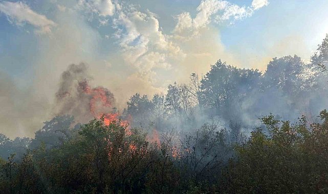 Afyonkarahisar'da dağlık alanda çıkan yangın söndürüldü