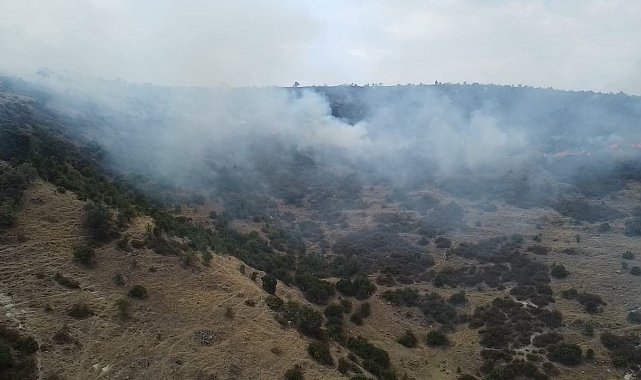 Afyonkarahisar'da ot ve çalıların bulunduğu dağlık alanda yangın çıktı