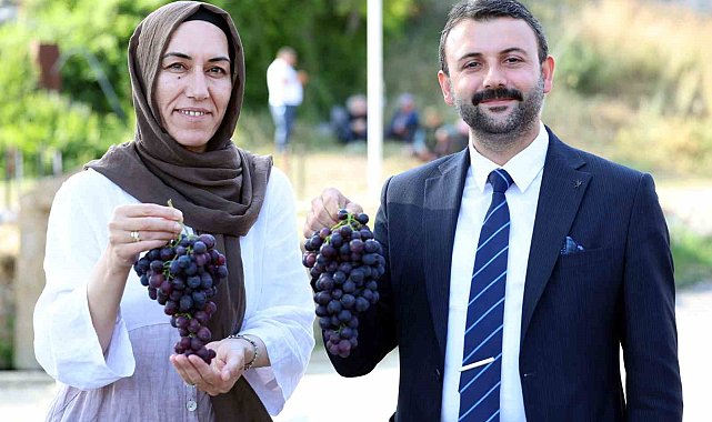 Akdeniz Belediyesi'nden Esenli Üzüm Şenliği'ne davet