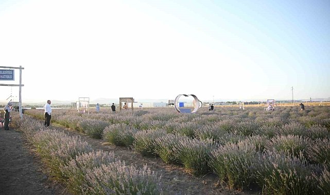 Akyurt Lavanta Bahçesi misafirlerini bekliyor