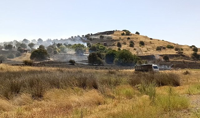 Aliağa'daki otluk yangınına havadan ve karadan müdahale