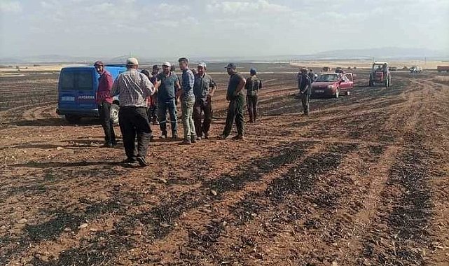 Altıntaş'ta çıkan yangında yaklaşık 3 bin dekar ekili alanda zarar gördü