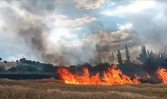 Anız yangını ormana sıçramadan söndürüldü