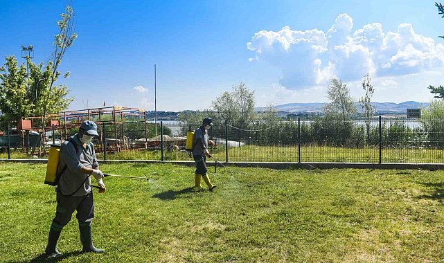 Ankara Büyükşehir parklarda vektörle mücadele ve temizlik çalışmalarına devam ediyor