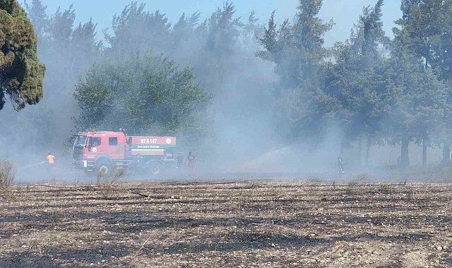 Antalya'da boş arazide çıkan yangın ormanlık alana sıçradı