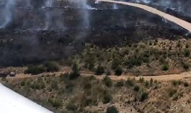 Antalya'da orman yangını: Havadan ve karadan müdahale devam ediyor