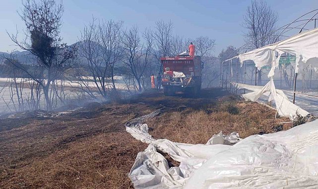 Antalya'da otluk alanda başlayan yangın zeytin ağaçlarına ve seraya sıçradı