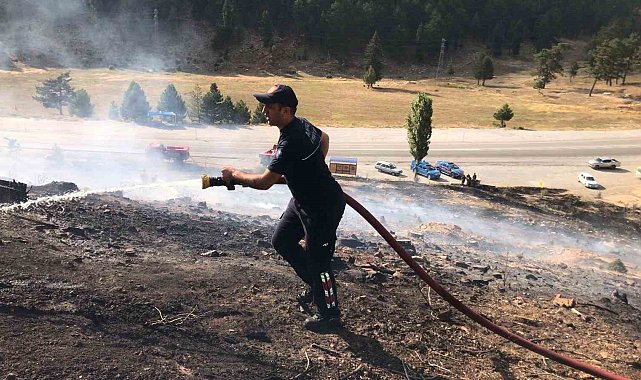 Antalya'da yangın kızılçam ormanına sıçramadan söndürüldü