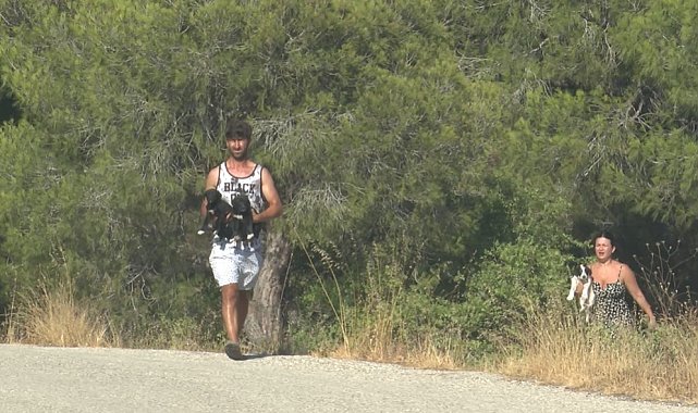 Antalya'da yangında mahsur kalan hayvanlar hayvansever vatandaşlar tarafından kurtarıldı