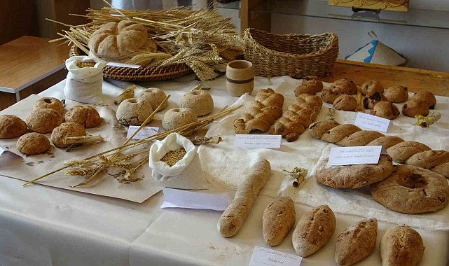 Antik çağ ekmekleri Yozgat'ta fırına girdi