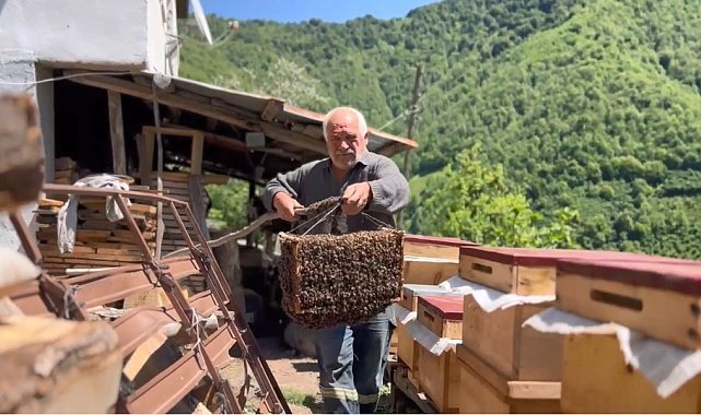 Arılar oğul verdi, babasının yeni koloni oluşturma sürecini film gibi çekti