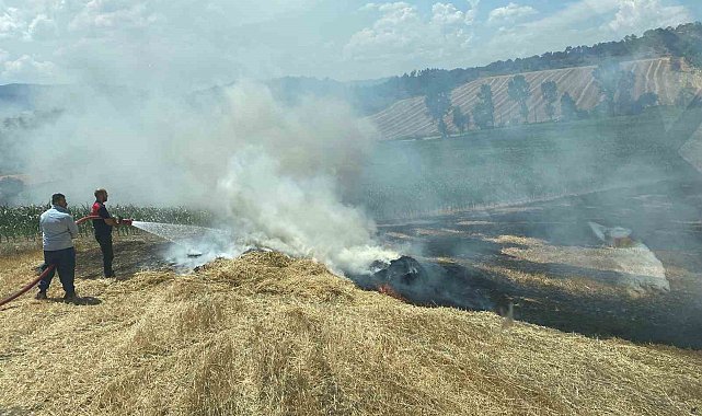 Arpa tarlası alev alev yandı