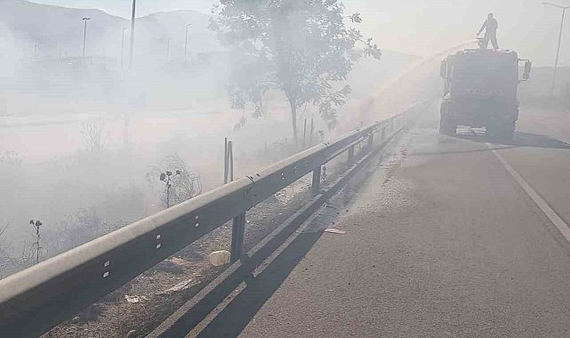 Arsuz'da çıkan ot yangınını itfaiye ekipleri söndürdü