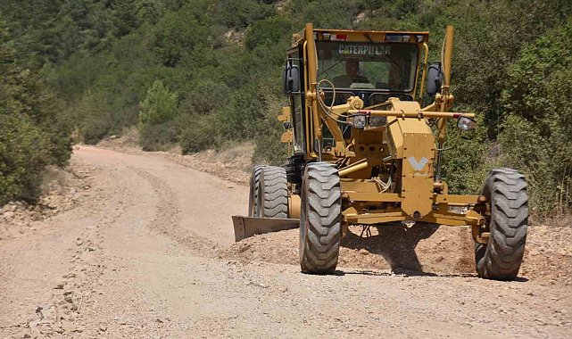 Atatürk Ormanı'nda bakım devam ediyor