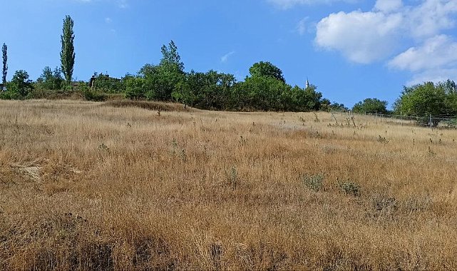 Atıl haldeki verimli arazileri ekip ekonomiye kazandıracaklar