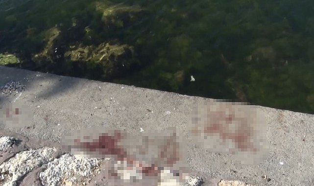 Avcılar'da feci cinayet: Önce bıçakladılar, sonra denize attılar