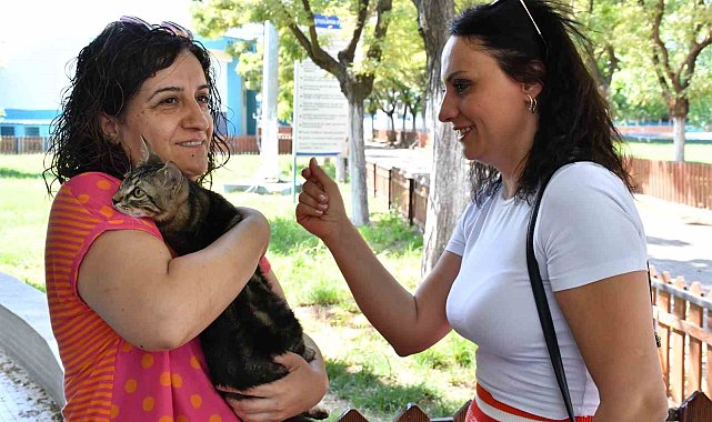 Ayda ortalama 600 sokak hayvanının tedavisi ve bakımı yapılıyor