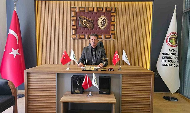 Aydın Marangozlar Odası'ndan vatandaşlara uyarı: "Oda kaydı olmayan kişilere iş yaptırmayın"