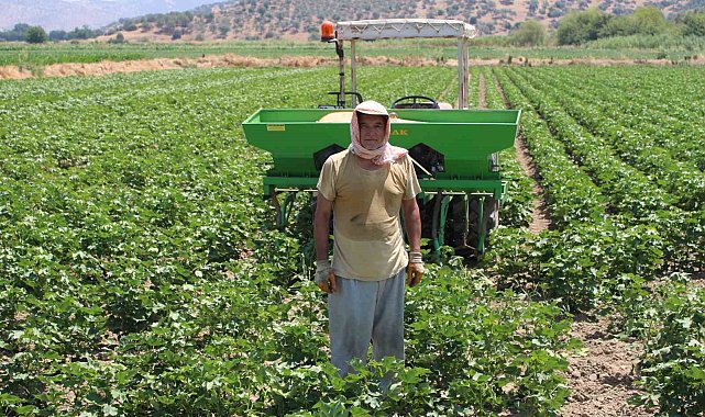 Aydın'da pamuk üreticileri su sıkıntısına dikkat çekti