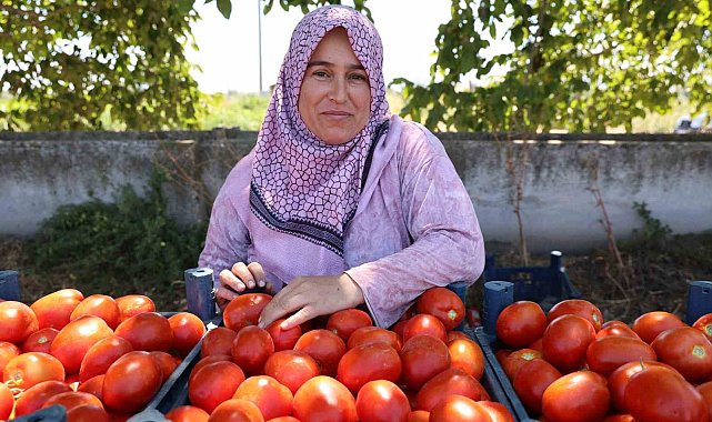 Aydın'da salça ve kışlık telaşı başladı