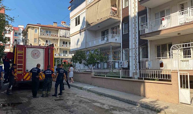Aydın'da yangın paniği