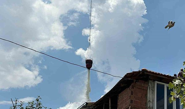 Aydın&#039;daki yangınların bilançosu açıklandı