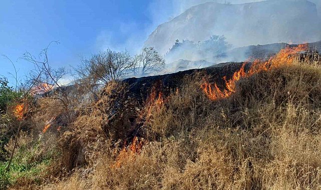 Aytepe mesire alanında yangın