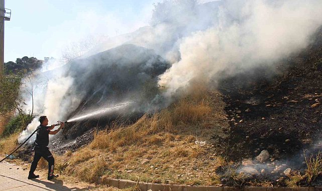Aytepe'deki yangın kontrol altına alındı