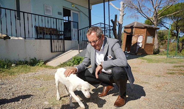 Ayvalık Belediye Başkanı Mesut Ergin, "Yasalar öldürmek değil yaşatmak için çıkarılır"