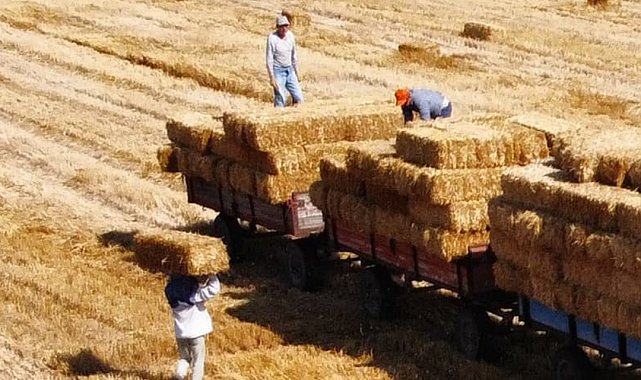 Babaeski'de balya işçilerinin 38 derece sıcaklıkta zorlu mesaisi