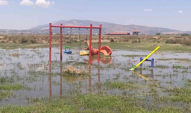 Bakımsız kalan kanallar merayı bataklığa çevirdi