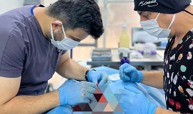 Balıkesir Büyükşehir Belediyesi can dostların yanında