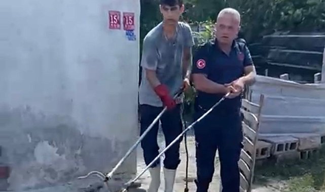 Balıkesir Manyas'ta eve giren yılan itfaiyeciler tarafından çıkarıldı