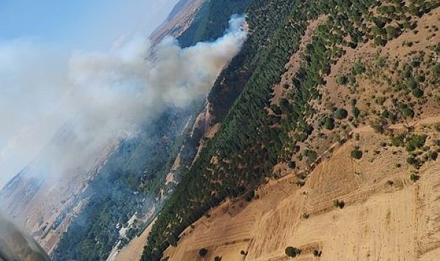 Balıkesir'de orman yangını
