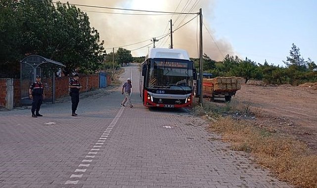 Balıkesir'de ormanlık alana sıçrayan yangın sürüyor