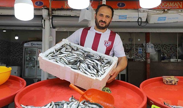 Bandırma'da sardalya bolluğu yaşanıyor