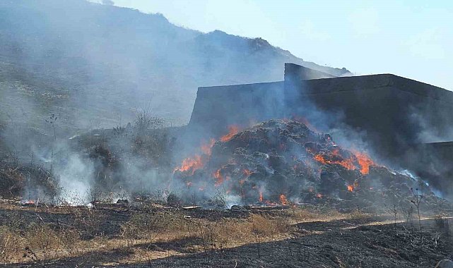 Bandırma'da yangın: Bin dönüm otluk alan yandı