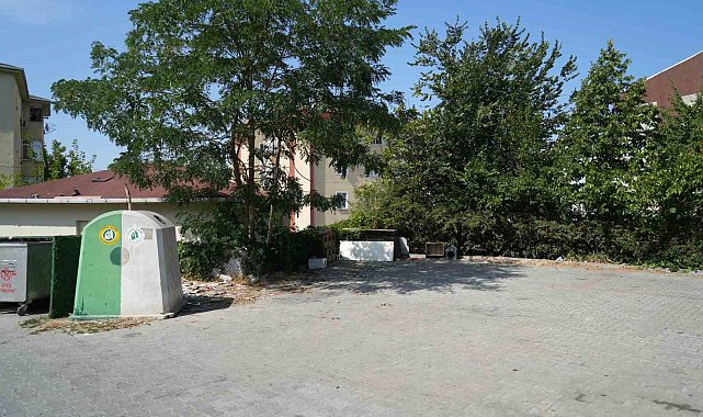 Başakşehir'de sokak hayvanlarına mama tartışmasında cinayet iddiası