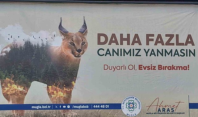 Başkan Aras'tan 'Orman'ın sırrı Karakulak'lı mesaj